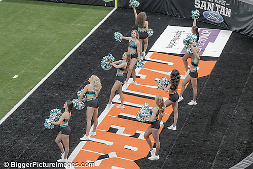 IMG_9815-SAI-Focus