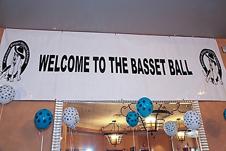 basset-ball-scottsdale-2009_03