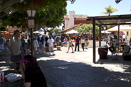 IMG_0979 LR