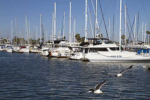 IMG_0245 LR