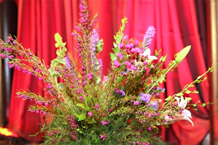 zimg_0081-9