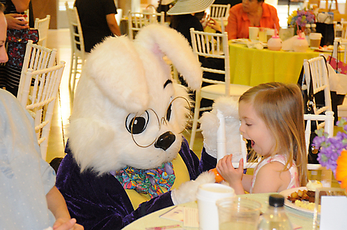BreakfastBunny_15