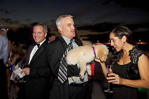 11_Annual Affair Puppy