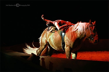 cavalia-076-ps-copyright