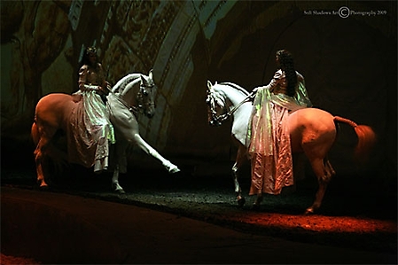 cavalia-164-ps-copyright