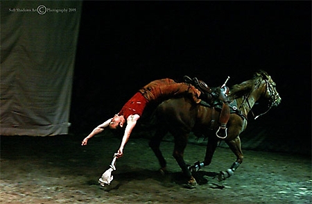 cavalia-2-116-ps-copyright