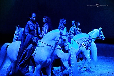 cavalia-336-ps-copyright