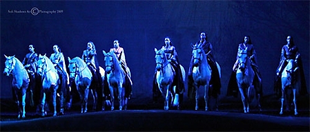 cavalia-347-ps-2-copyright