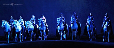 cavalia-347-ps-2-copyright