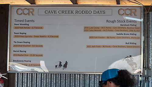 P3271711_1774970340_69cbe5e479188