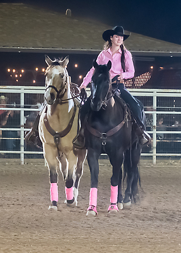 P3271788-2_1774970359_69cbe5f7731ed