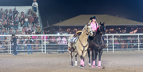 P3271796_1774970361_69cbe5f954c49