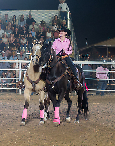 P3271801_1774970361_69cbe5f9bf99a