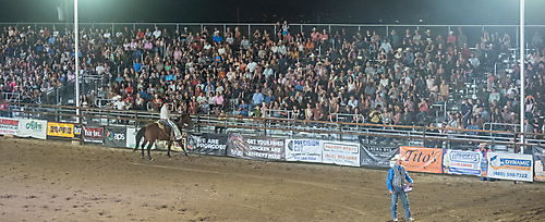 P3271861_1774970364_69cbe5fca5a67