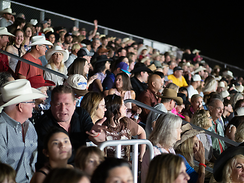 P3271873_1774970367_69cbe5ff15c64