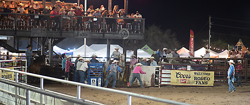 P3271874_1774970367_69cbe5ff77489