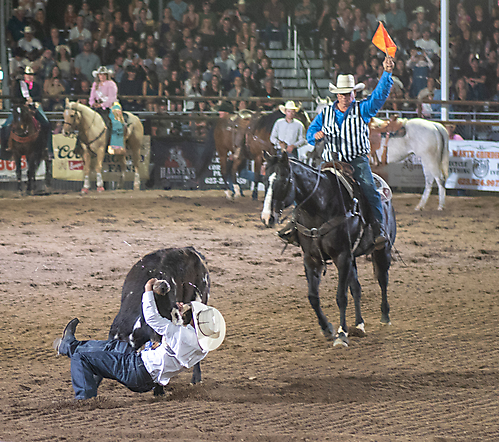 P3271879_1774970368_69cbe60017ee4