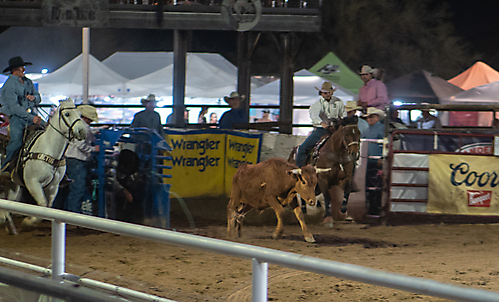 P3271882_1774970368_69cbe60079341