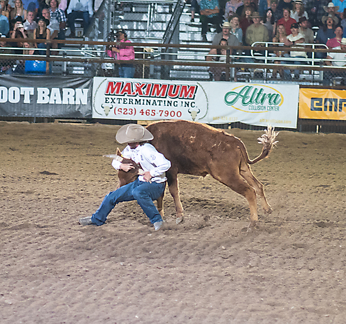 P3271888_1774970369_69cbe6011914c