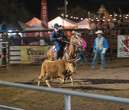 P3271896_1774970370_69cbe6024c94c