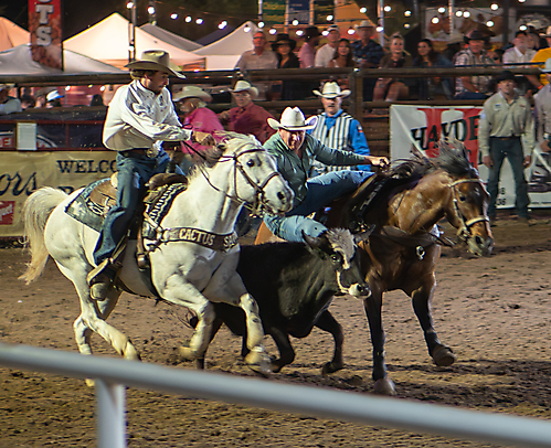 P3271943_1774970370_69cbe602bb9ca