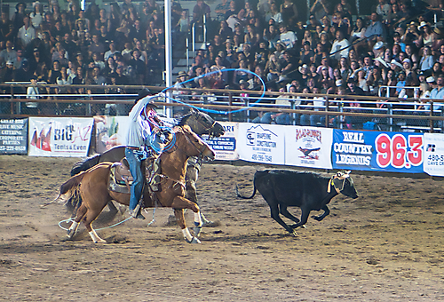 P3271962_1774970371_69cbe60337a17