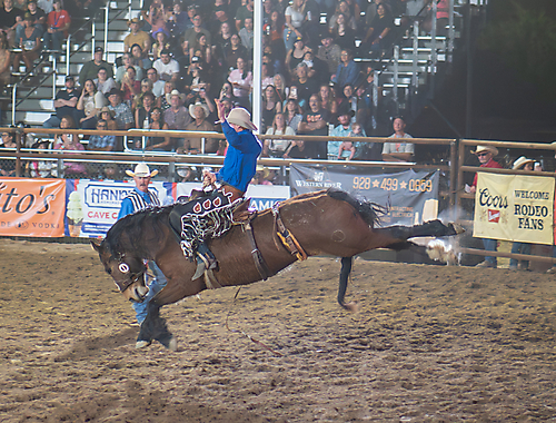 P3271970_1774970372_69cbe604a22a8