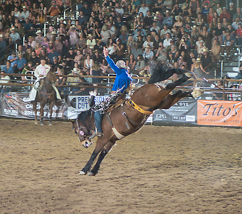 P3271972_1774970373_69cbe605352dc