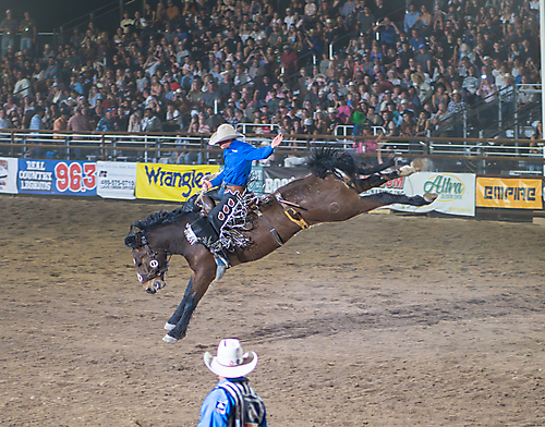 P3271977_1774970373_69cbe605c2f43