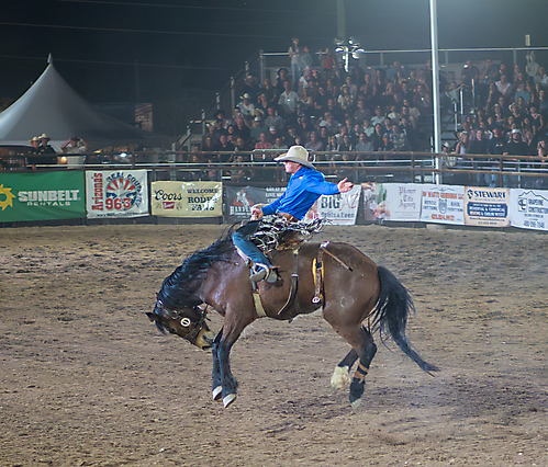 P3271981_1774970374_69cbe6065c13c