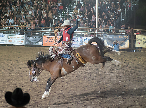 P3272056_1774970375_69cbe607c1612