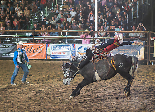 P3272126_1774970376_69cbe608d45c0