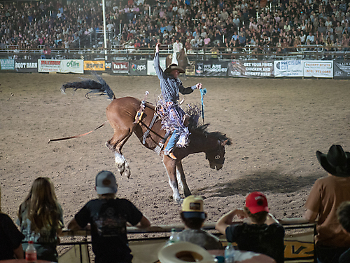 P3272162_1774970377_69cbe6097b5c1