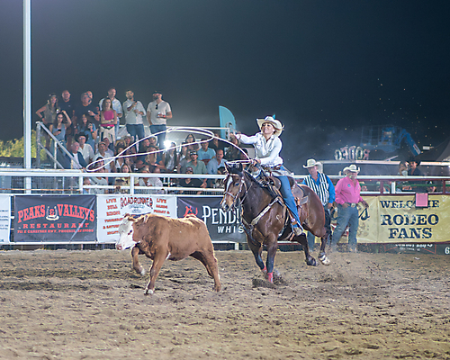 P3272222_1774970381_69cbe60d052c7