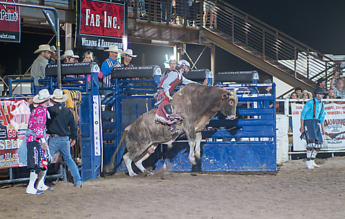 P3272344_1774970389_69cbe6152d70e