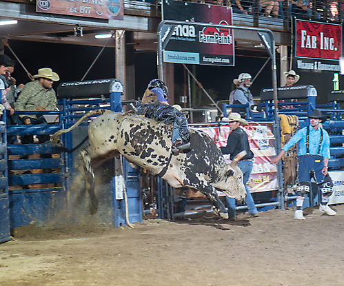 P3272362_1774970391_69cbe6170d698