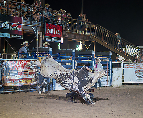 P3272378_1774970391_69cbe6179d13a