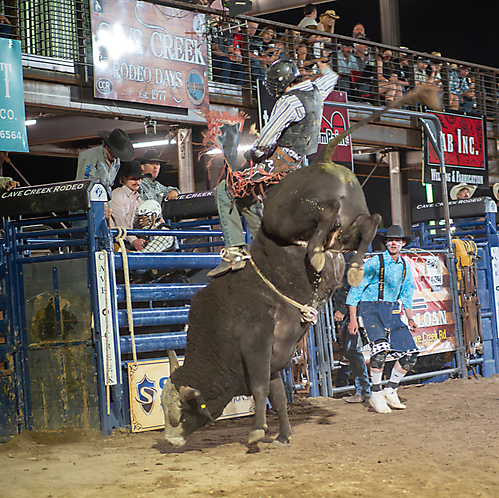 P3272389_1774970392_69cbe61865246