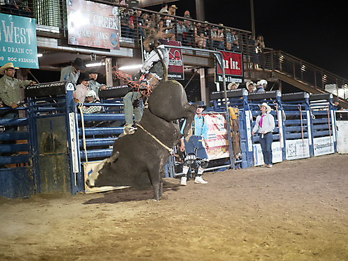 P3272390_1774970393_69cbe61906163