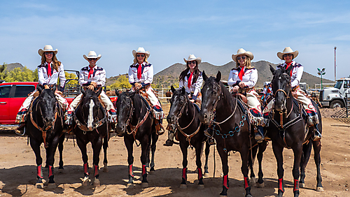 P3292432_1774970404_69cbe624f1117