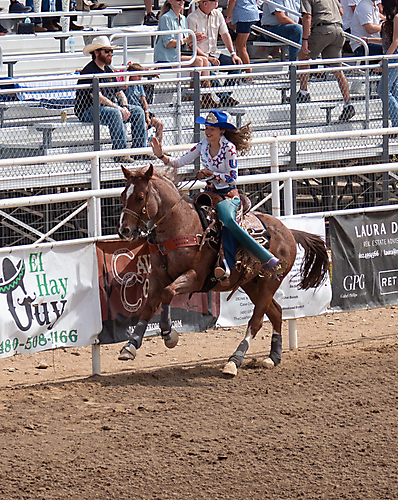 P3292449_1774970411_69cbe62bc6009