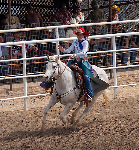 P3292450_1774970412_69cbe62c70e77