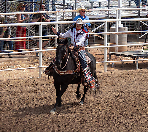 P3292455_1774970417_69cbe63118a8d