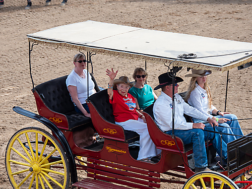 P3292483_1774970433_69cbe641dd06c