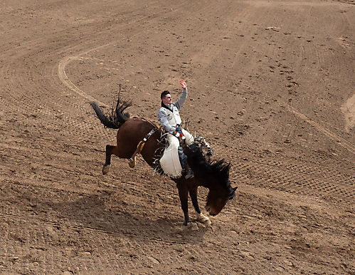 P3292555_1774970451_69cbe653102ec