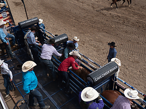 P3292558_1774970451_69cbe653ae145