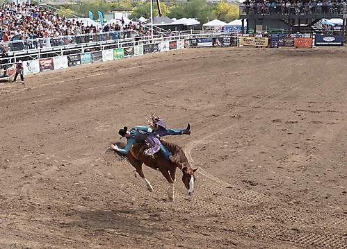 P3292610_1774970452_69cbe6548f540