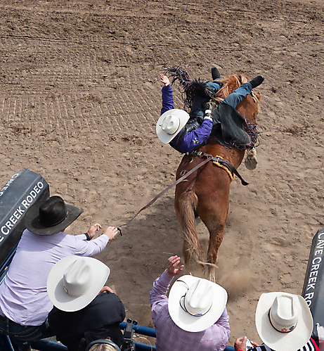 P3292621_1774970453_69cbe6559e83a