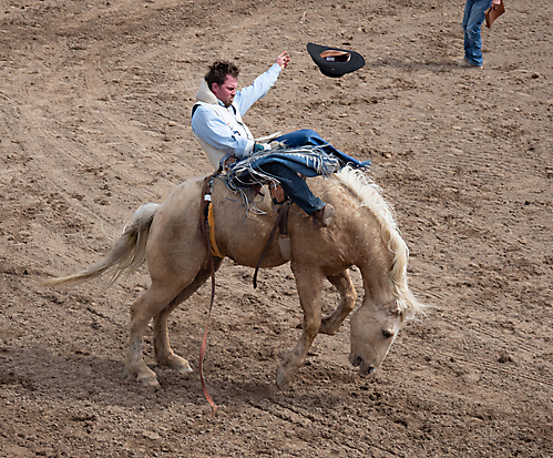 P3292706_1774970458_69cbe65a8822d