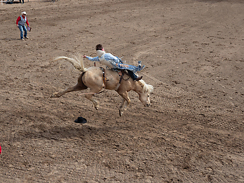 P3292720_1774970460_69cbe65caebcc